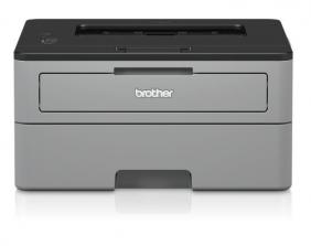 Immagine prodotto BROTHHL-L2310D           